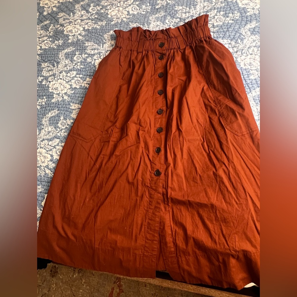 Everlane skirt
